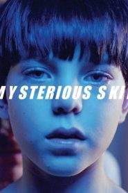 Mysterious Skin (2004)