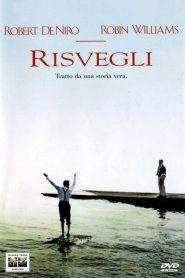 Risvegli (1990)