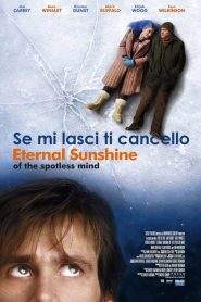 Se mi lasci ti cancello (2004)