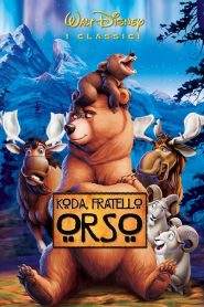 Koda, fratello orso (2003)