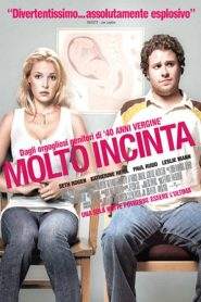 Molto incinta (2007)