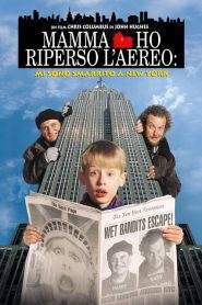 Mamma, ho riperso l’aereo: Mi sono smarrito a New York (1992)