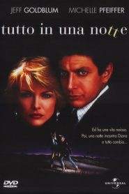 Tutto in una notte (1985)