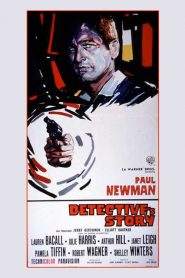 Detective’s Story (1966)