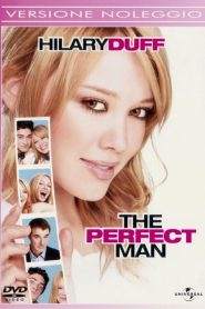 The Perfect Man (2005)