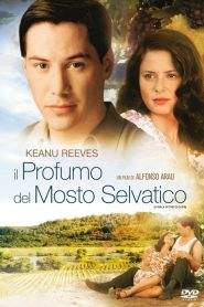 Il profumo del mosto selvatico (1995)