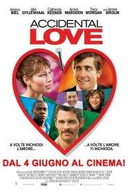 Accidental Love (2015)