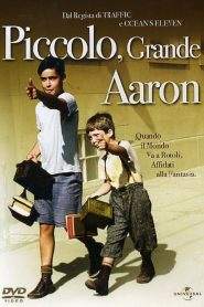 Piccolo, grande Aaron (1993)