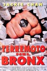 Terremoto nel Bronx (1995)