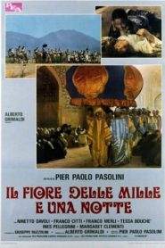 Il fiore delle Mille e una notte (1974)