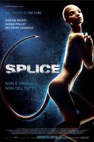 Splice (2009)