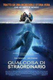 Qualcosa di straordinario (2012)