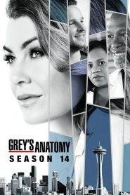 Grey’s Anatomy 14