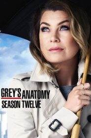Grey’s Anatomy 12