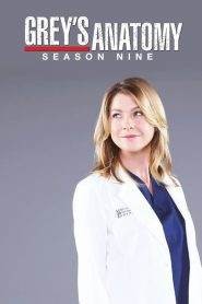 Grey’s Anatomy 9