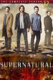 Supernatural 12