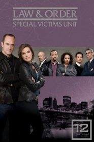 Law & Order – Unità vittime speciali 12