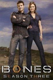 Bones 3