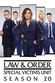 Law & Order – Unità vittime speciali 20