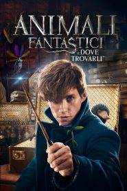 Animali fantastici e dove trovarli (2016)