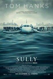 Sully (2016)