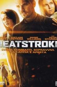 Heatstroke (2013)