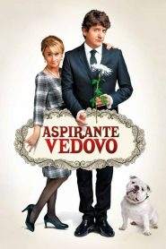 Aspirante vedovo (2013)