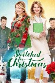 Scambiamoci a Natale (2017)