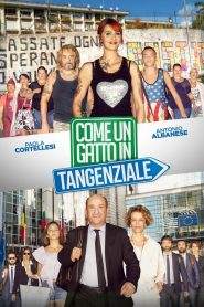 Come un gatto in tangenziale (2017)