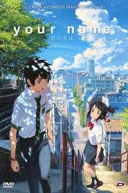 Your name. (2016)