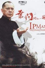 Ip Man: The Final Fight (2013)