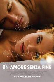 Un amore senza fine (2014)