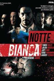 Notte bianca (2011)