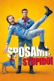 Sposami, stupido! (2017)