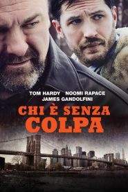 Chi è senza colpa (2014)