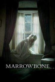 Marrowbone (2017)