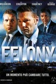 Felony (2014)