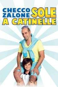 Sole a catinelle (2013)