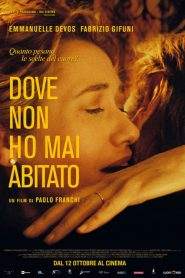 Dove non ho mai abitato (2017)