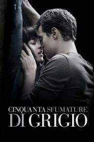 50 sfumature di grigio (2015)