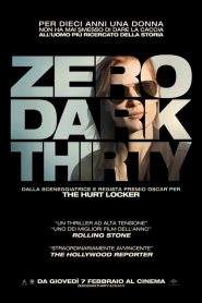 Zero Dark Thirty (2012)