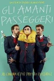 Gli amanti passeggeri (2013)