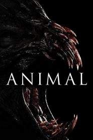 Animal – Il segreto della foresta (2014)