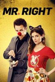 Mr. Right (2016)