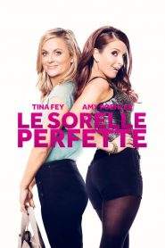 Le sorelle perfette (2015)