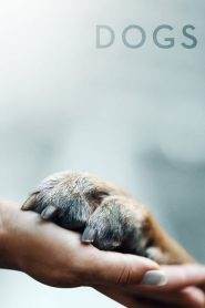 Dogs 1