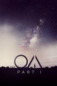 The OA 1