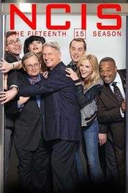 NCIS – Unità anticrimine 15