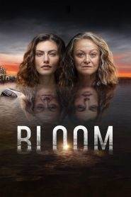 Bloom 1