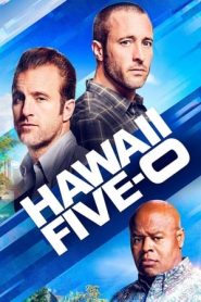 Hawaii Five-0 9